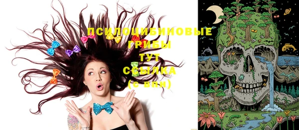 МДПВ Новодвинск