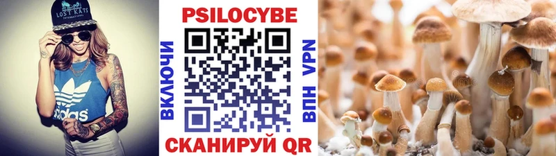 Галлюциногенные грибы GOLDEN TEACHER  Купить где  Нижний Тагил 