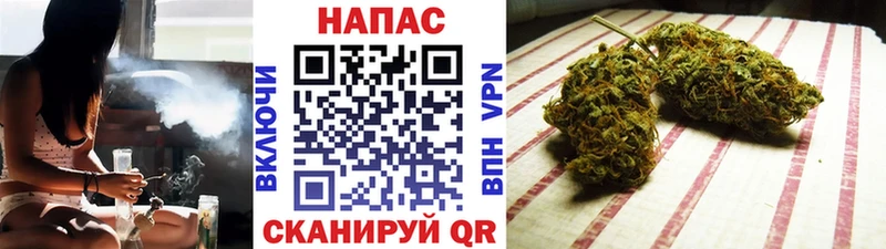 Бошки марихуана семена Купить где Нижний Тагил